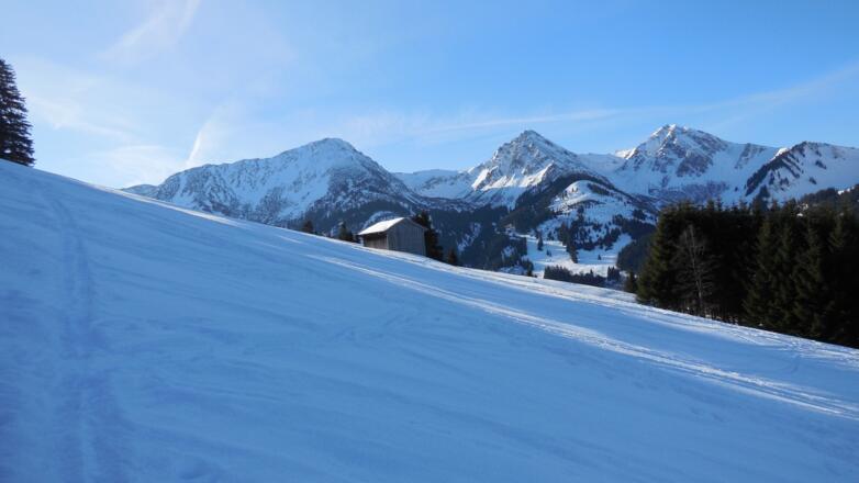 Noch früh am Morgen