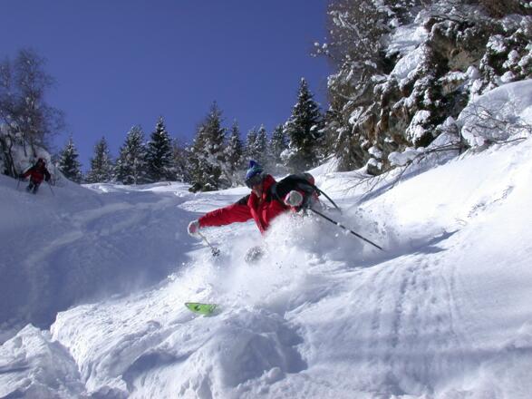 Weiter unten durch lichten Wald