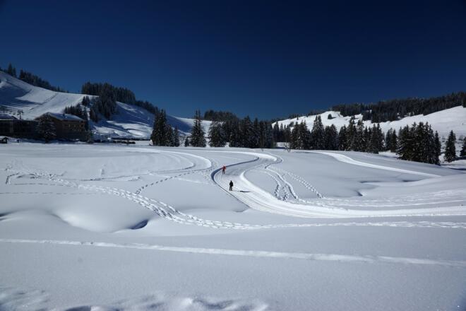 Winterwandern am Hochhäderich