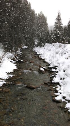 Über den Bach und du letzten Meter zum Parkplatz