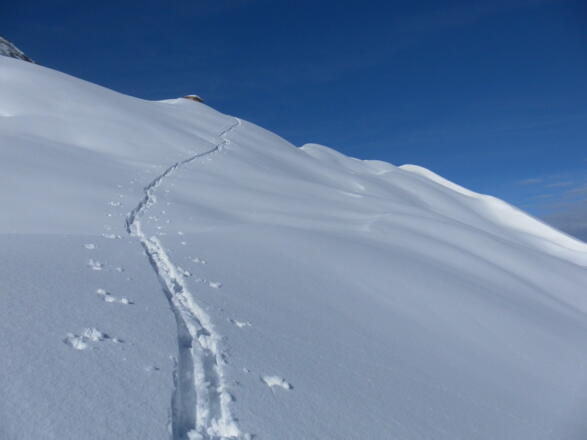 milder Hang zur kleinen Hütte