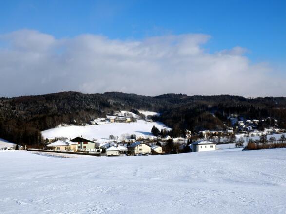 Hackl am Berg mit Kürnberg vom Güterweg