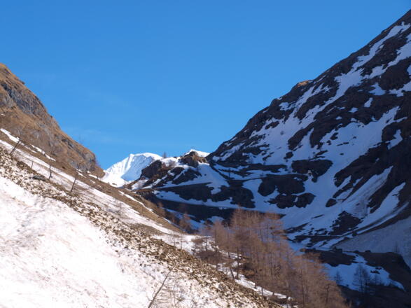 Dorfertal um 1750m (Lawinenreste)