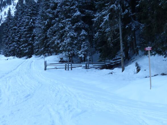 Kurz nach dem Gh. Bergheim weist eine Skitourenlenkung zur neuen Aufstiegsroute.