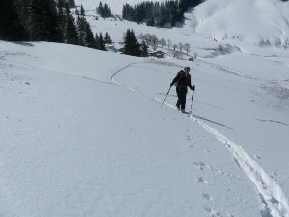 oberhalb der Burgeralm