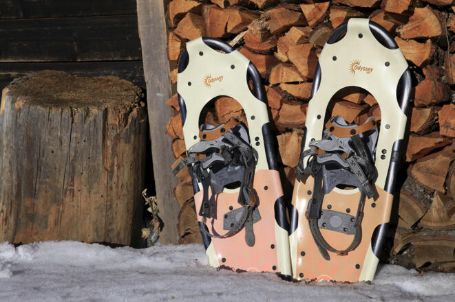 Schneesschuh-Idylle auf der Greiseneckalm