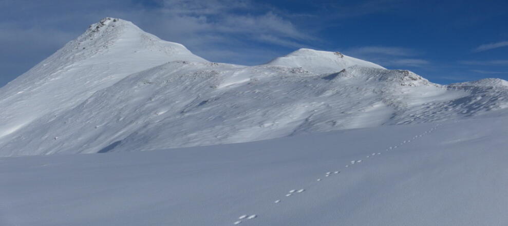 Hundskogel Südgratrücken