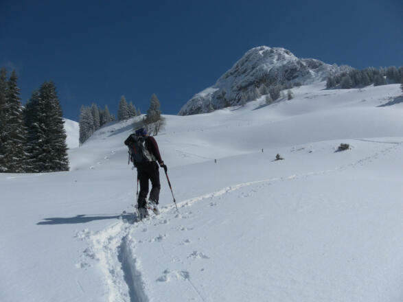 Hänge zur Jagdhütte unter dem Spielberghorn