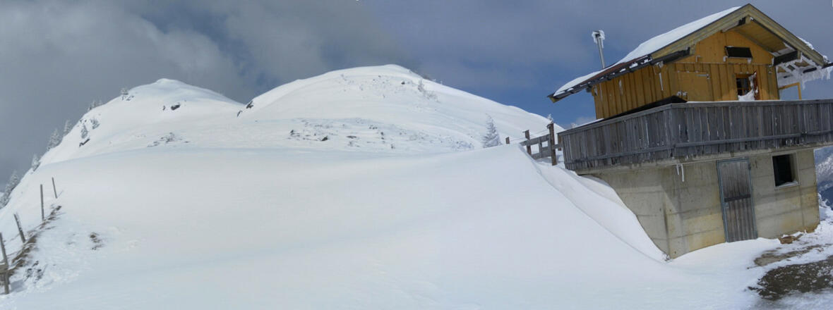 Ostrücken des Kleberkopfes vom Sattel aus