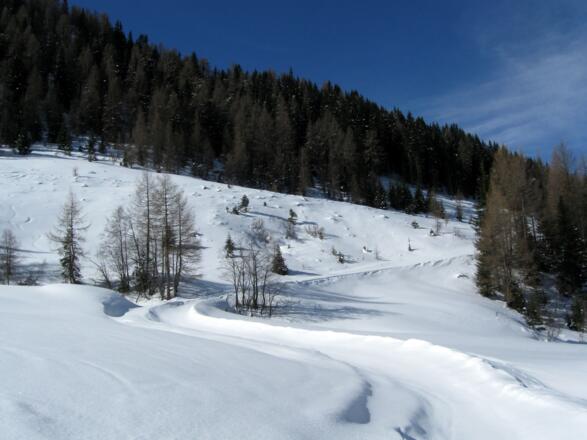 Gemütlich und in weiten Kehren ausholend folgt man der Forststraße zur Blasigleralm.