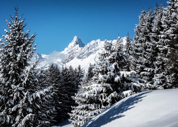 Winterlandschaft Bartholomäberg