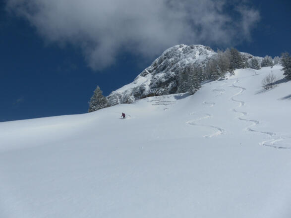 Almhänge unter der Jagdhütte