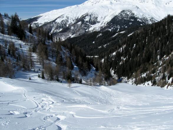Auf dem Rückweg kann man die Forststraße immer wieder abkürzen und so über die schönen Wiesen &quot;abfahren&quot;.          
