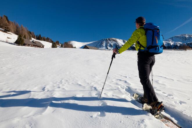 Auf der Greiseneckalm