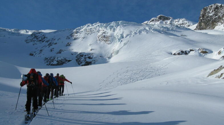 Die Spur zieht unterhalb des Bruches dahin!