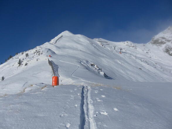 Seekareck SO-Rücken