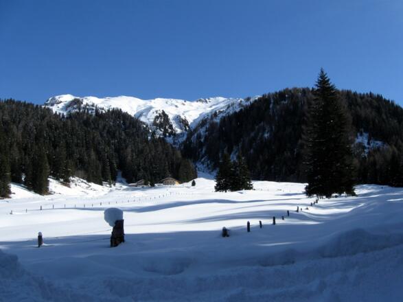 Im Hintergrund sieht man die Weirichalm. An ihr kommt man nicht direkt vorbei. Im Hintergrund sieht man schon den Kupfnerberg (Bildmitte)