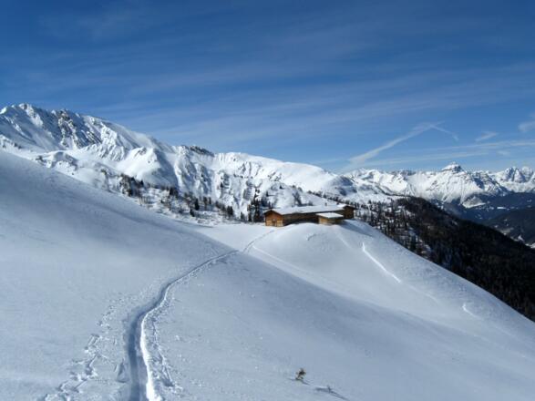 In der Aufstiegsspur zum Naviser Kreuzjöchl hat man die gesamte Alm im Blick. Rechts im Hintergrund sieht man die Serles, links davon den Steixnerkamm und die Schafseitenspitze. 