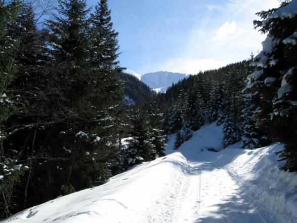 Unterwegs im Weirichtal.