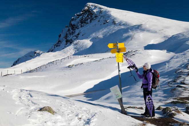 In der Königstuhlscharte; hinten der Gr. Königstuhl