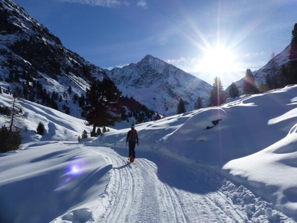 Mit den wärmenden Sonnenstrahlen geht es zur Vord. Sulztalalm, die wir ...