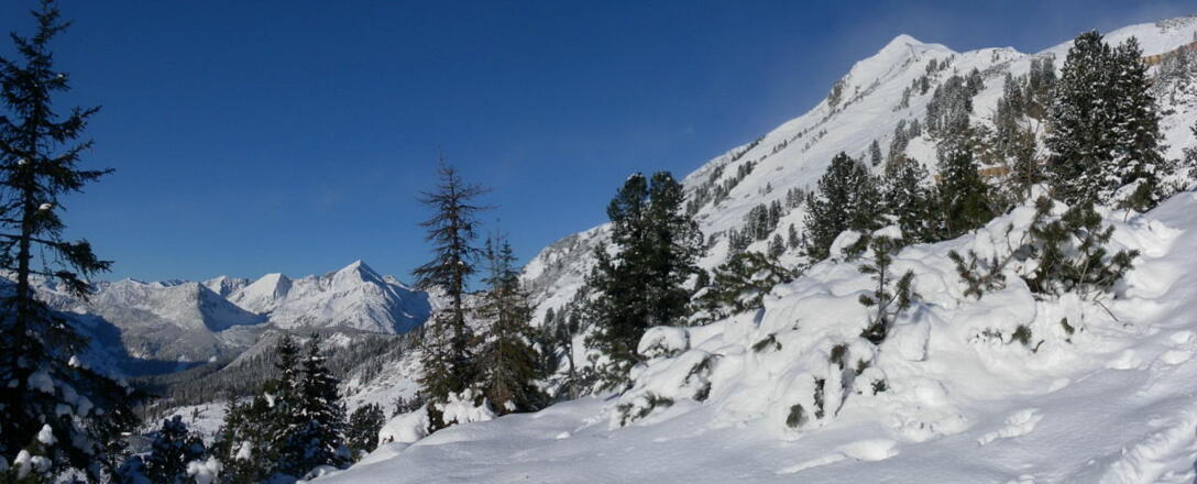 Zustieg zum Grünwaldkopf Südrücken mit Blick zum Seekareck. Links Windschaufel und Steinfeldspitze