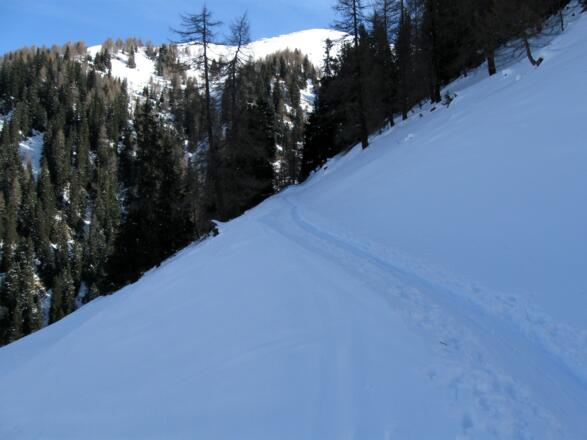 Man folgt diesem Pfad (Forststraße) in eigener Schneeschuhspur  Richtung Nordosten.