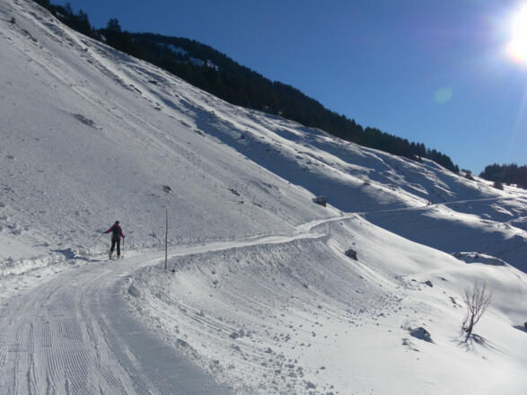 Rodelweg zur Burgeralm
