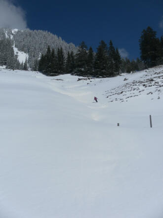 Mulden hinab zur Burgeralm