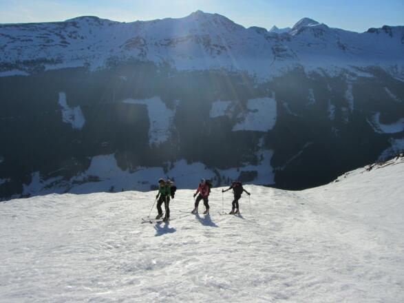 Schon oberhalb der Waldgrenze