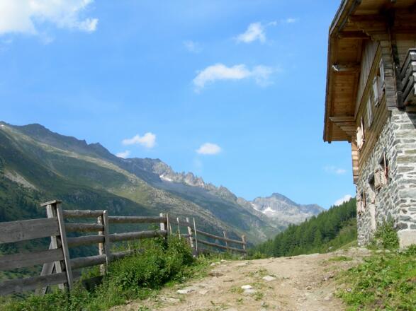 Die Labesaualm im Tauferer Ahrntal.