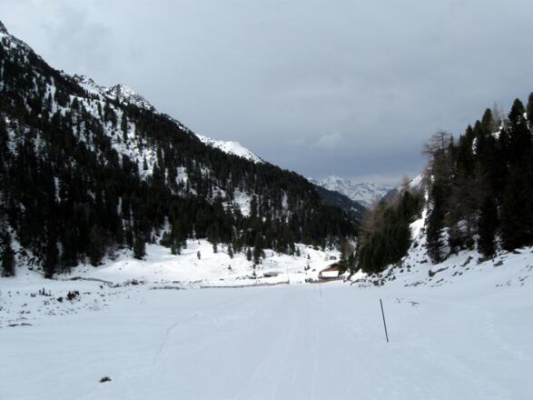 Die Abfahrt erfolgt entlang des Aufstiegsweges und zum Schluss entlang der Rodelbahn zum Ausgangspunkt.