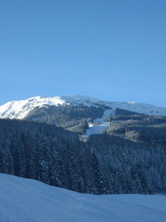 Der weitere Wegverlauf