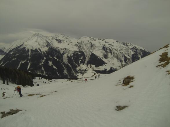 Kurz vor der Alm wird es etwas steiler.