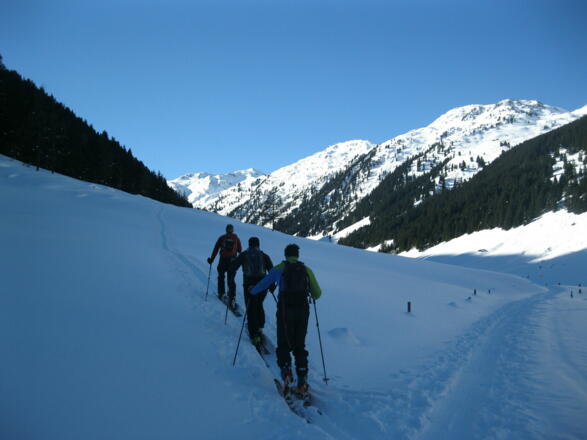Links abzweigen und am Sommerweg in den Wald
