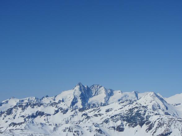 Der Tauernkönig im Süden