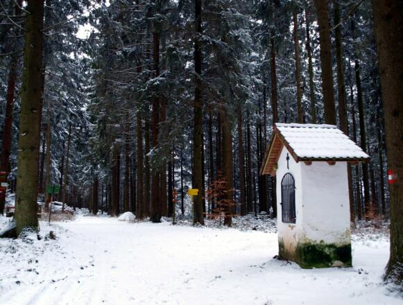 Rückweg: Wegpunkt 863m (Weg 16), links zur GIS.