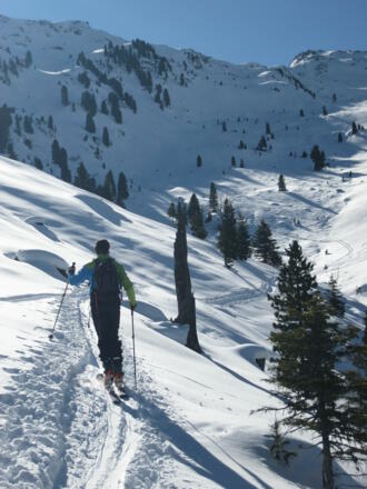 Im Bereich der Jocheggalm