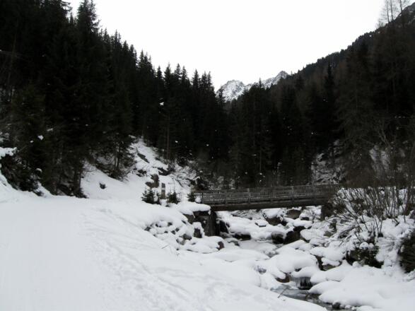 Über diese Brücke, die über den Schranbach führt, geht es immer entlang der Forststraße taleinwärts.