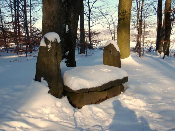 Rastplatz 540m, mit Marterl und Steinbank 