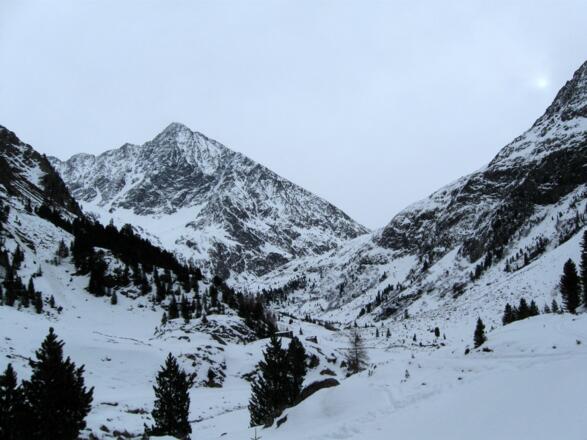 Unterhalb der Vorderen Sulztalalm. Blick ins Sulztal. In der Bildmitte der alles beherrschende Schrankogel.