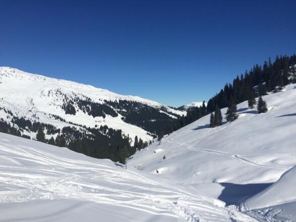 Im Bereich der Jocheggalm