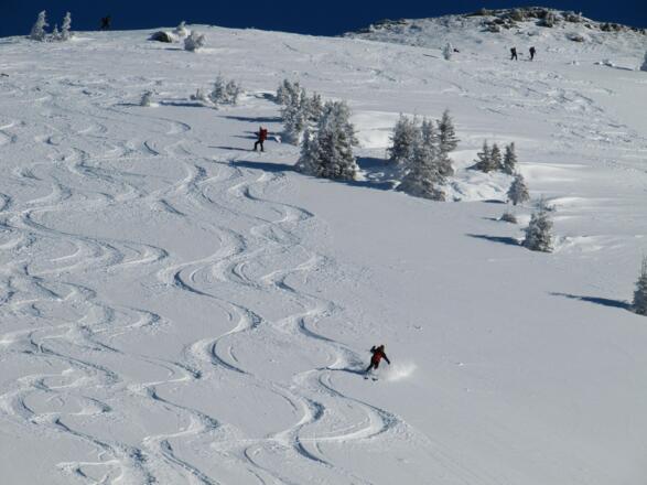 Unsere Abfahrtshänge