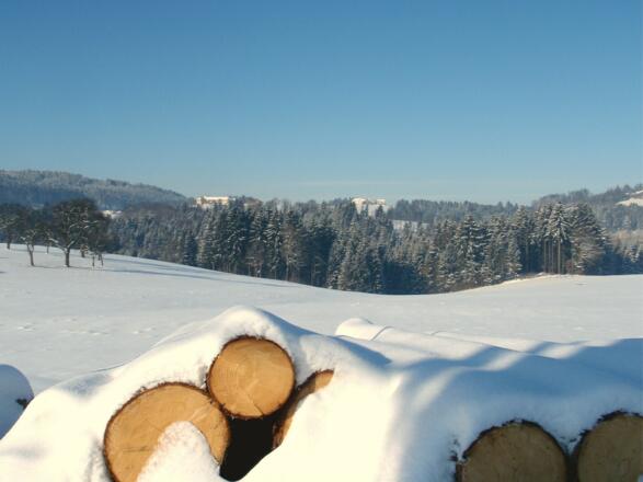 Blick nach Westen um 530 m nach dem Waldstück Güterweg Ebner.