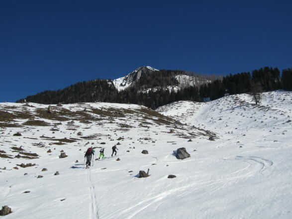den Hang hinauf bis zur Forststraße