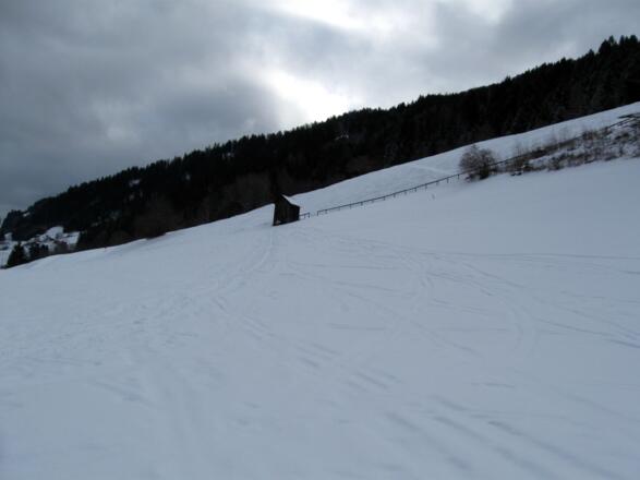 Über diese Wiese geht es auf diese kleine Hütte zu und anschließend zum Waldrand. (Im Hintergrund sieht man den weiteren Verlauf der Aufstiegsspur).