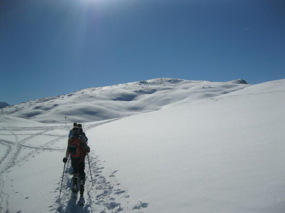 Der flache Gipfel des Kastenwendenkopfs