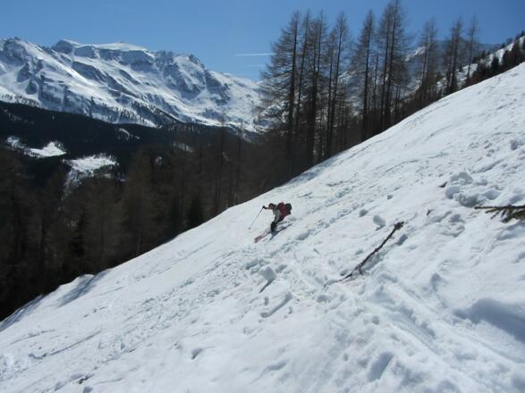 Waldschneisen unterhalb der Ritterkaralm