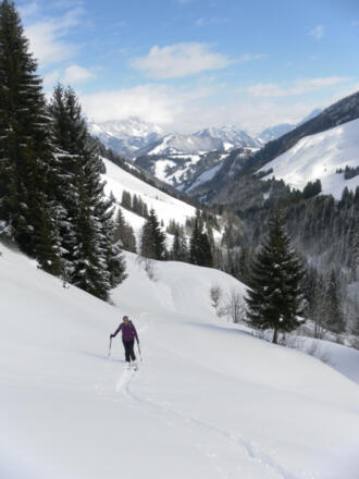 Lachtalalmwiesen und Wildseeloder