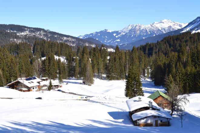 Durchs Wäldele zur Auenhütte